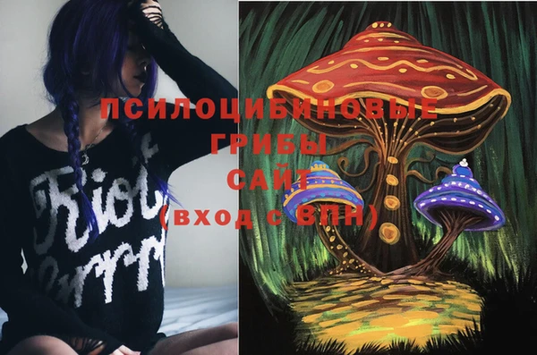 бошки Алексин