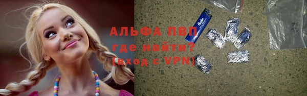 бошки Алексин