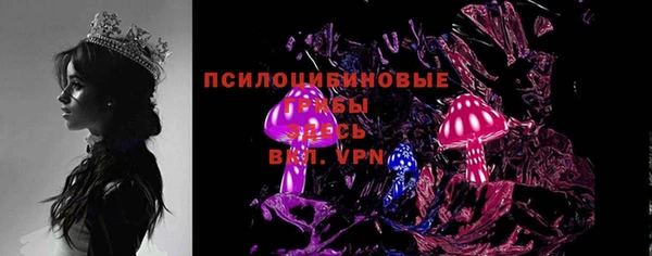бошки Алексин