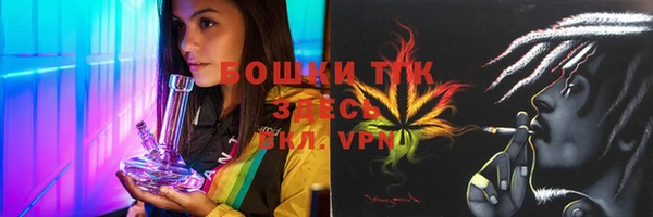бошки Алексин