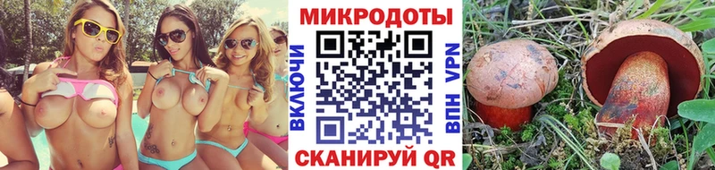 где можно купить наркотик МЕГА как зайти Галлюциногенные грибы GOLDEN TEACHER Дудинка