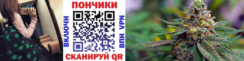 Бошки марихуана планчик  Дудинка 